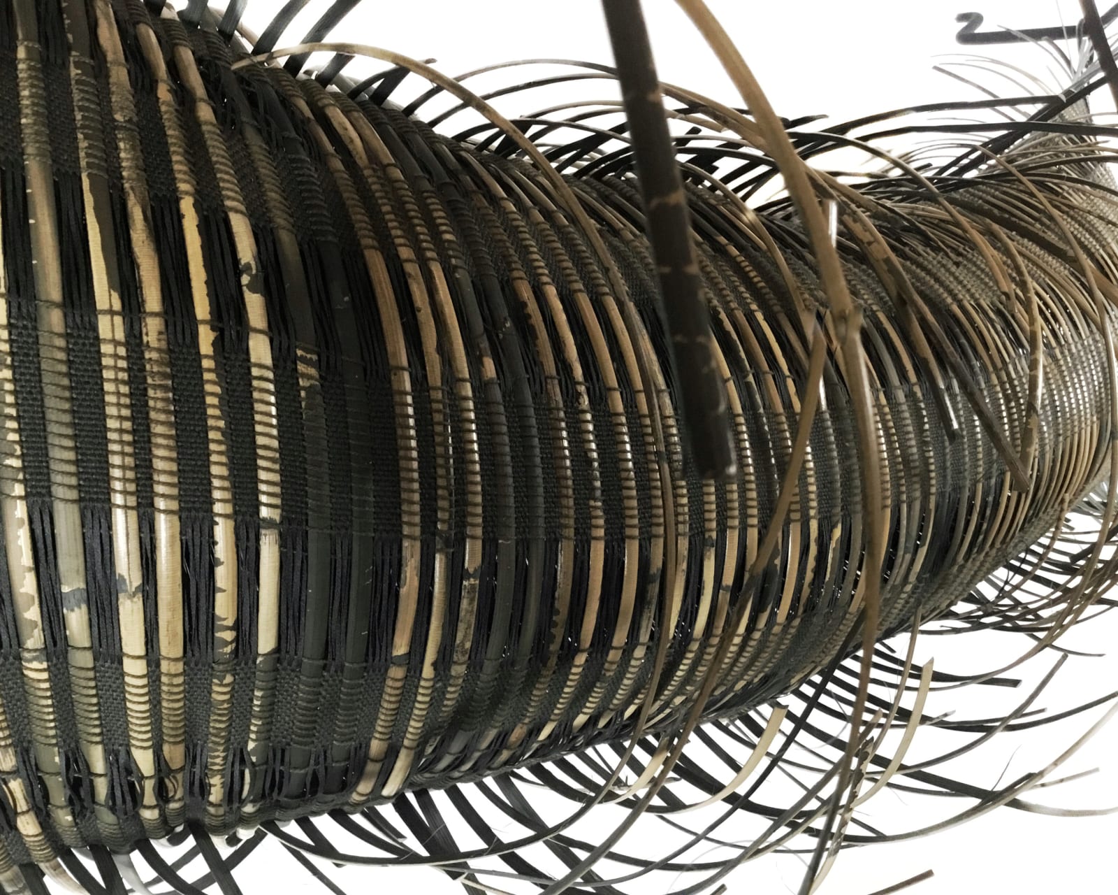 Charlotte Blake, Cradle, 2023
