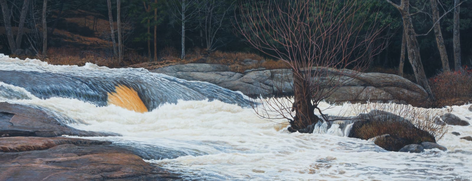 D.A. Dunford, Dogwood