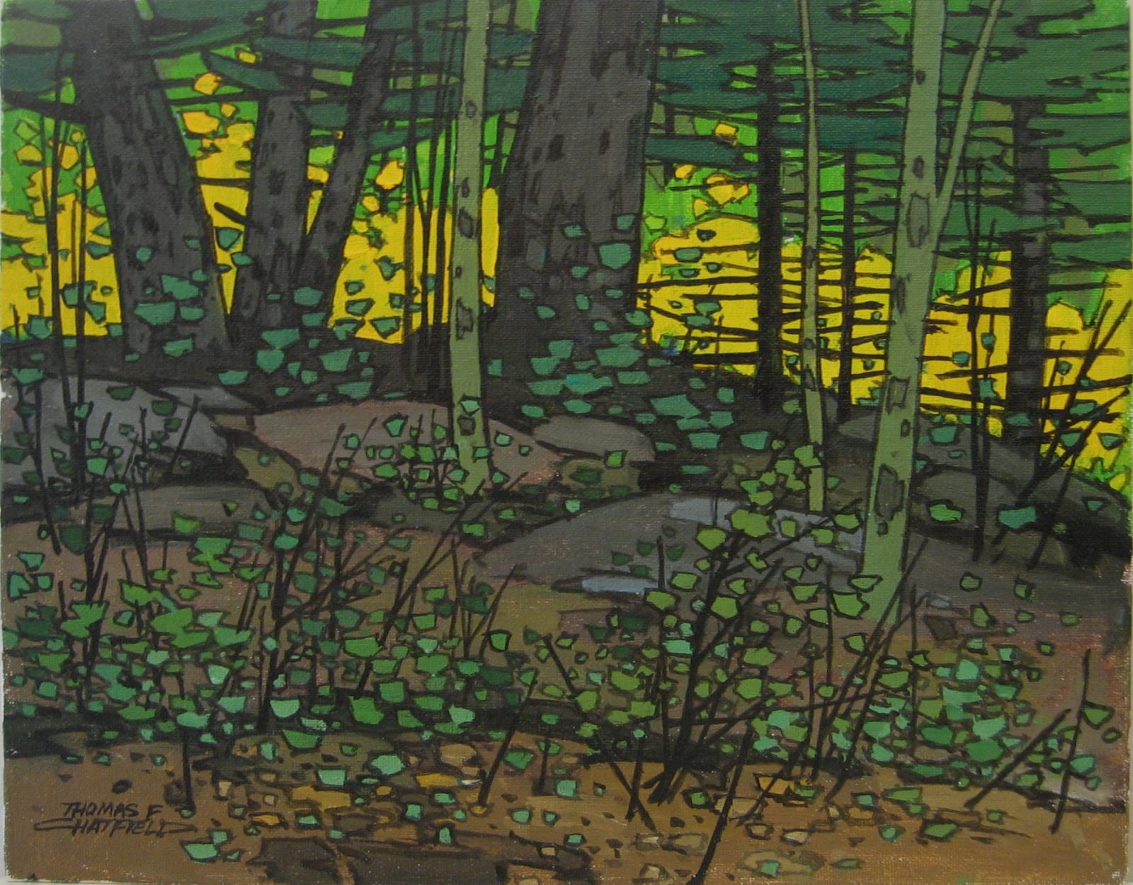Thomas Chatfield, Light in the Forest