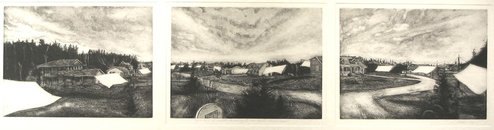 Dan Steeves, Some Kind of Honest Rendering of the Stuff of our Lives, 6/14, 2004