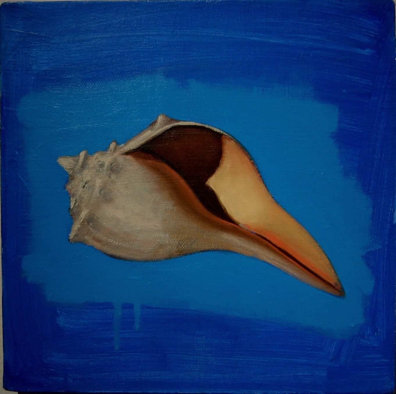 Christopher Pelley, Conch