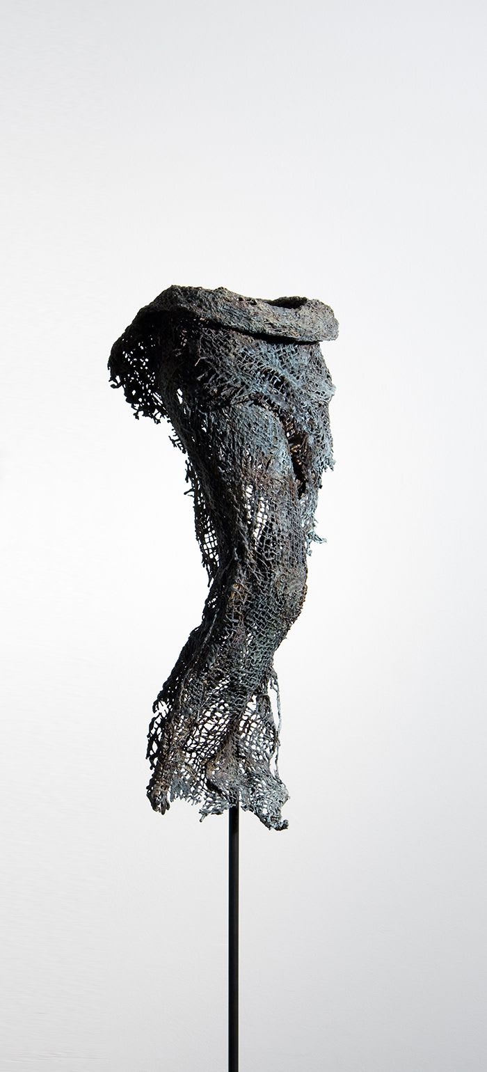Camie Geary-Martin, Shroud # 21, 2011