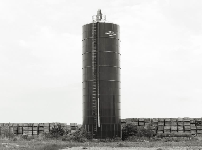 David Brandy, Harvestore 1/10, 2020