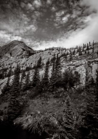 Steve Kean, Tree Lined Path, ed. of 7, 2025