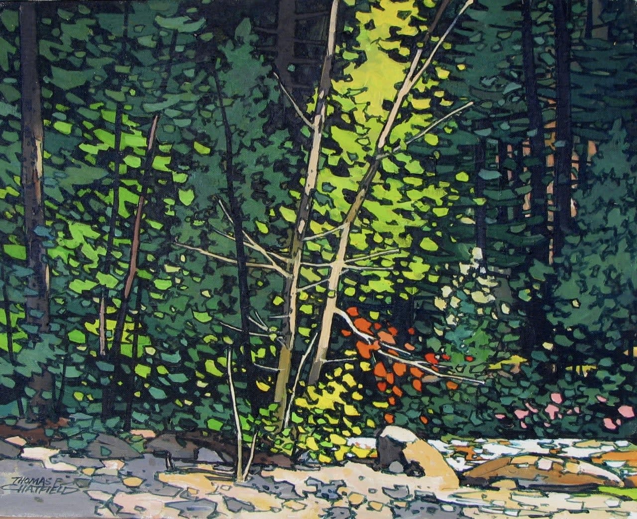 Thomas Chatfield, Bathed in Sunlight