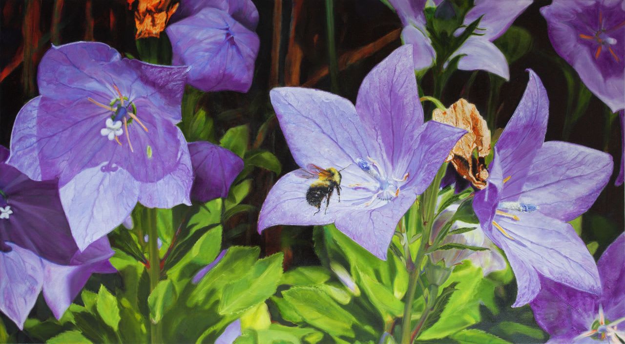 Jennifer Walton, Earthly Delights (Balloon Flower with Small Bumblebee), 2021