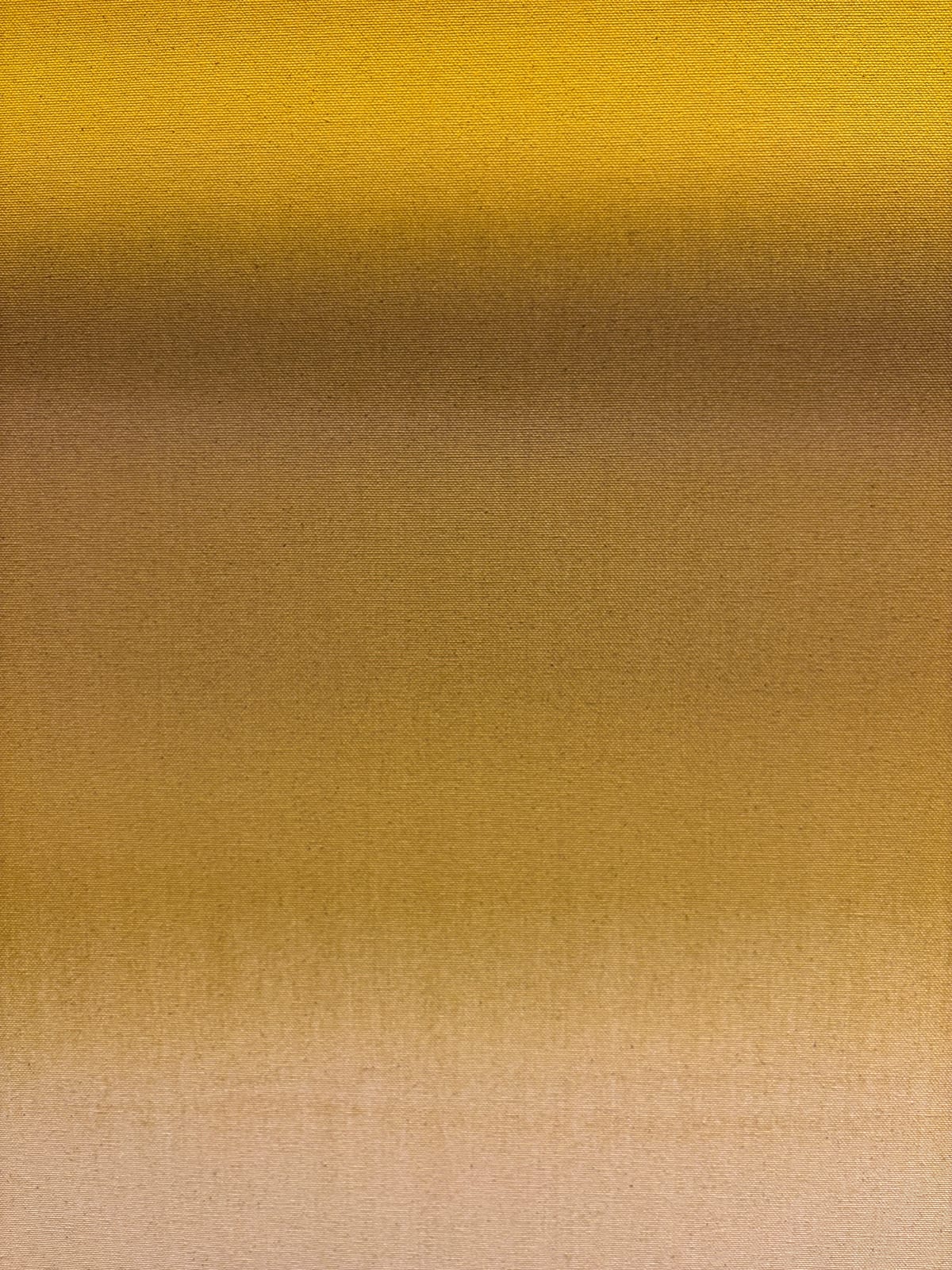 Ali Pilli, Tiger's Eye, 2024