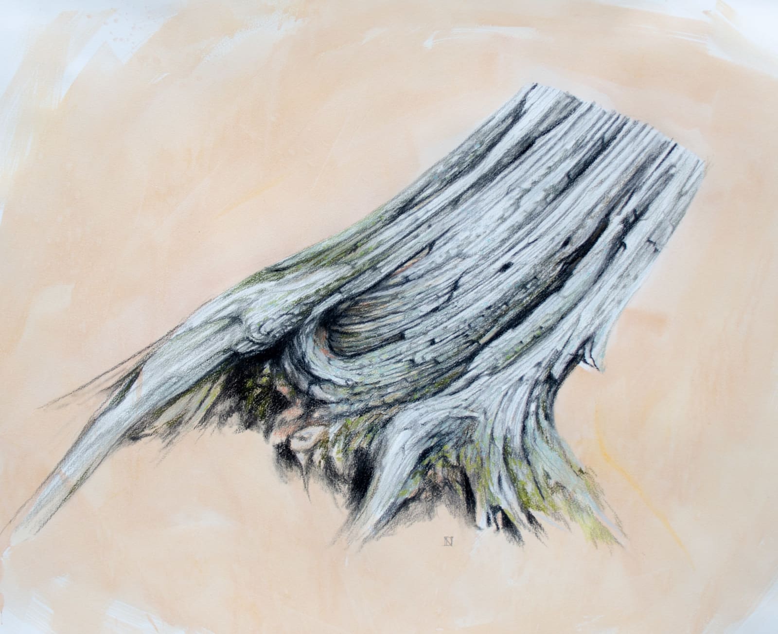 Duane Nickerson, Curve, 2022