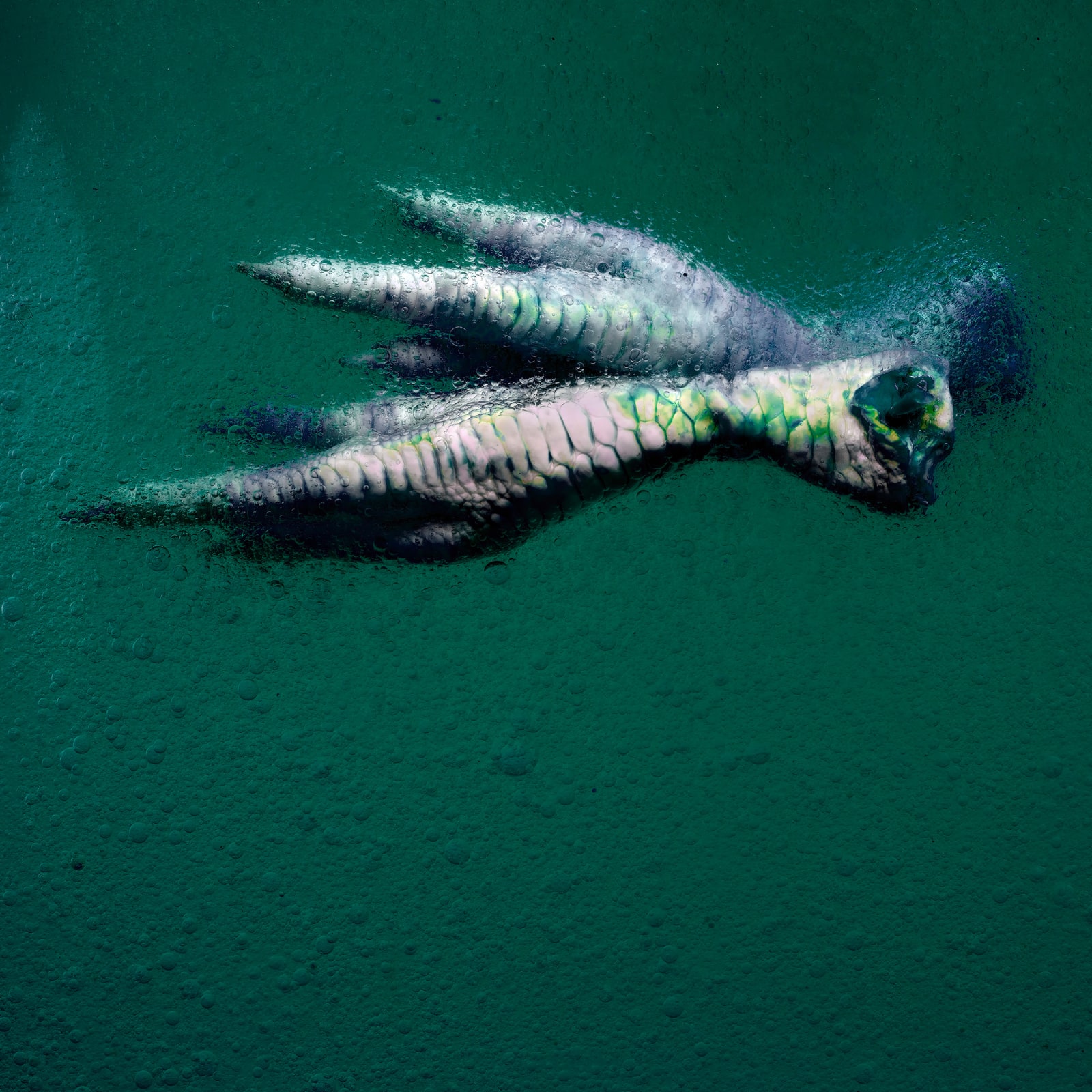 Stéphane Alexis, We Live Together, 2021