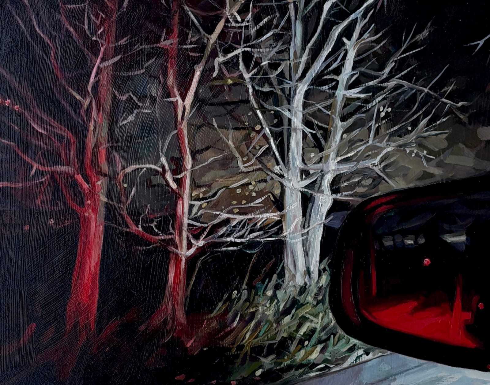 Heather Horton, Carlisle, Concession 7, midnight, 2024