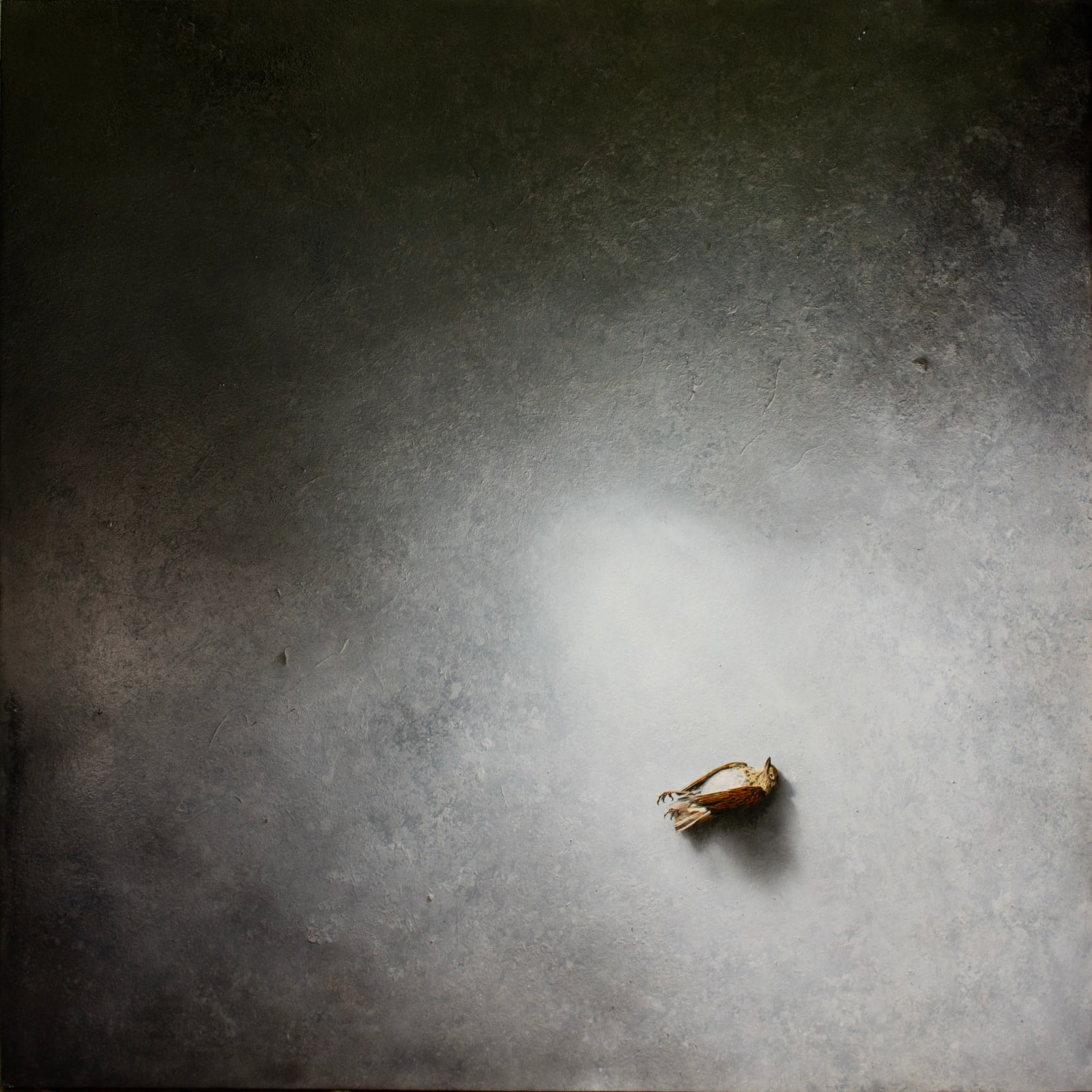 Richard A. Jacobson, Take these broken wings, 2023
