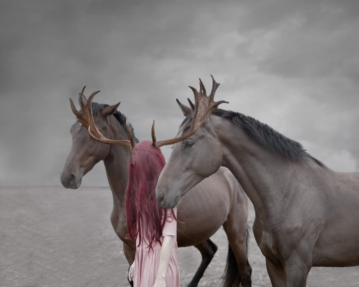Patty Maher, Exodus, 2020