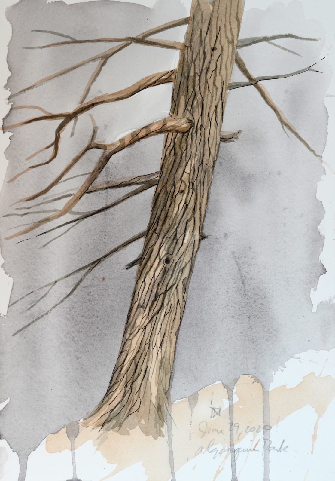 Duane Nickerson, Trunk (Study), 2020