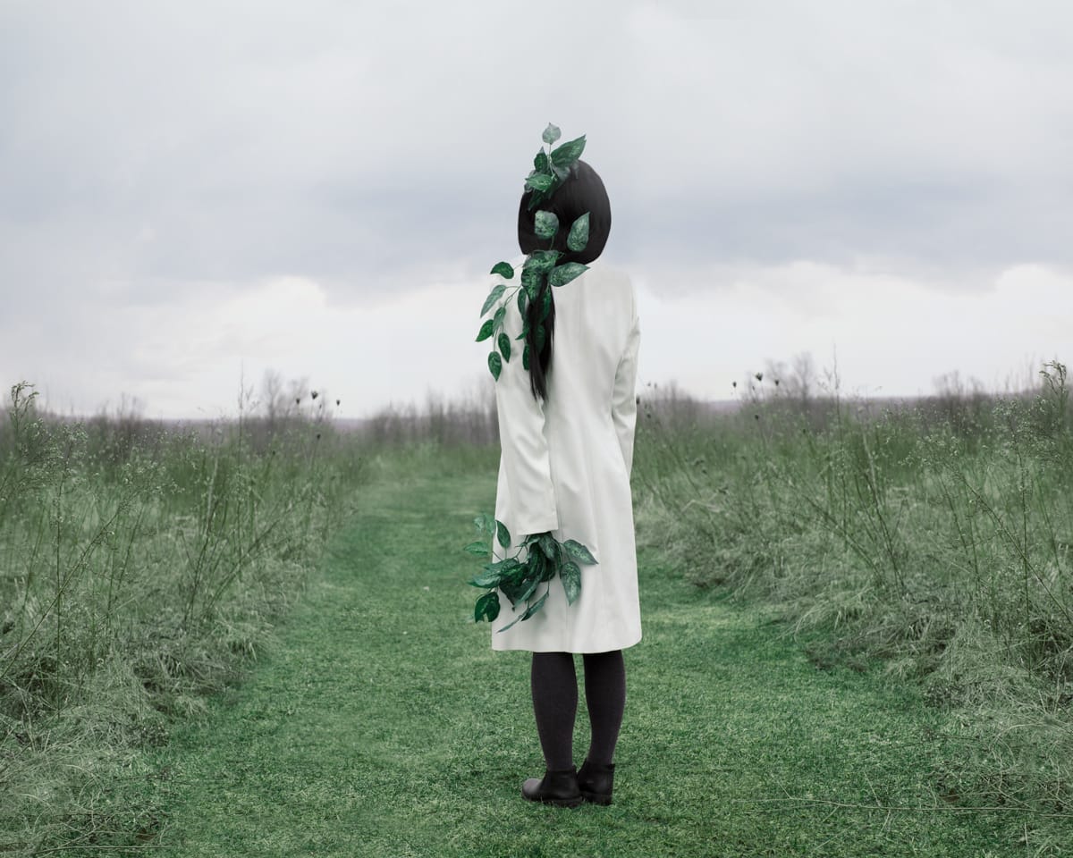 Patty Maher, The Language of Spring, 2020