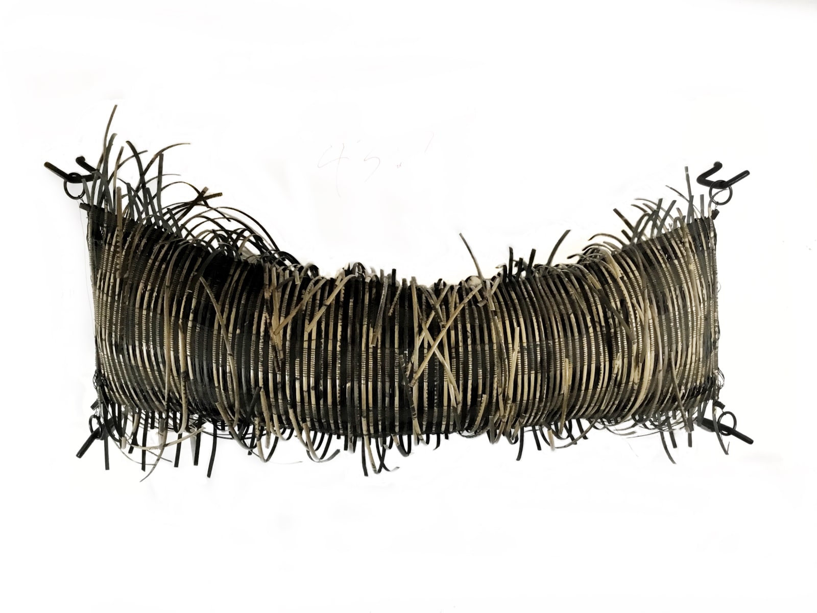 Charlotte Blake, Cradle, 2023