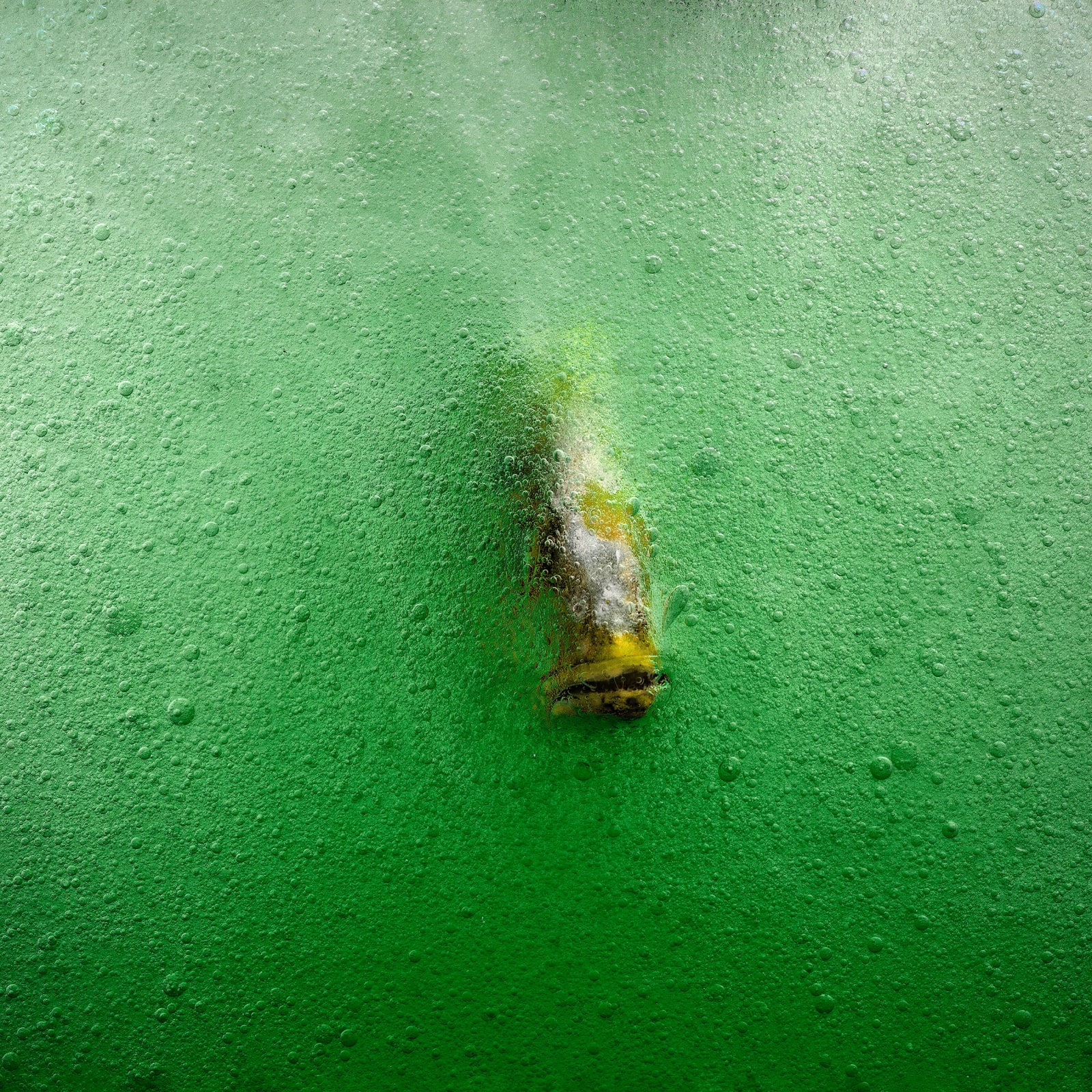 Stéphane Alexis, Discovery, 2021