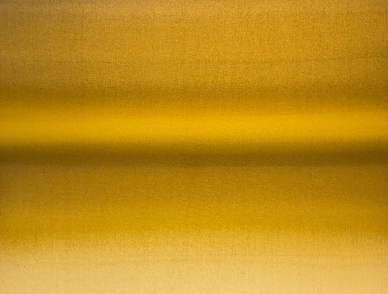Ali Pilli, Tiger's Eye, 2024