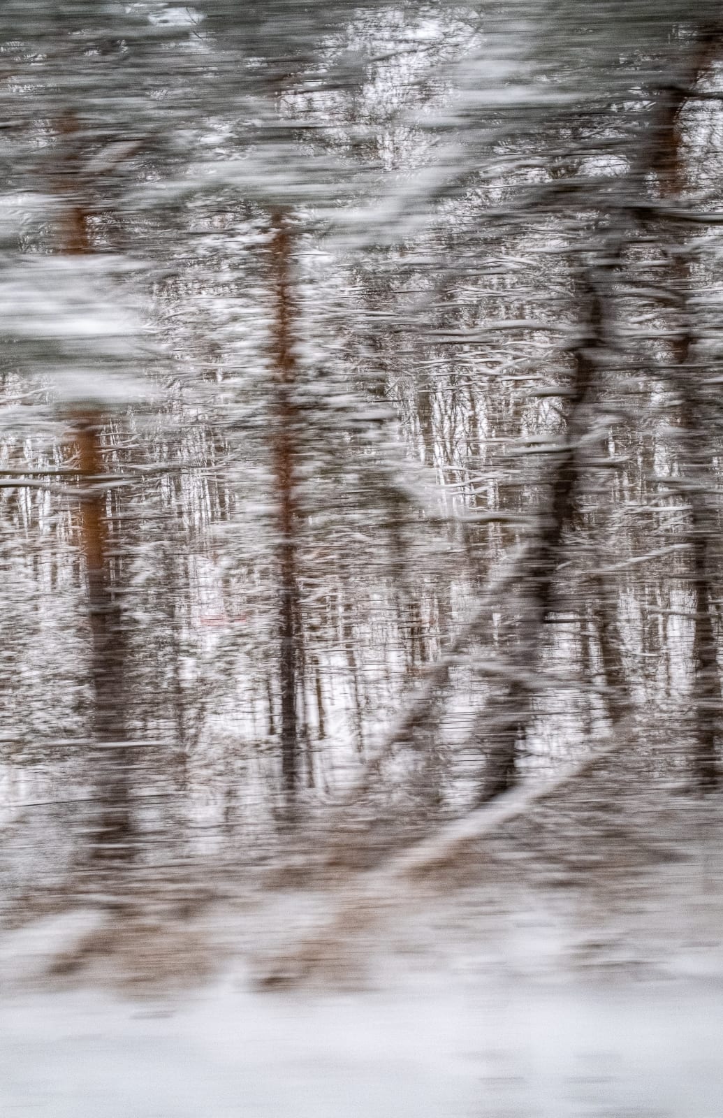 Steve Kean, Passing Winter, ed. of 25, 2024