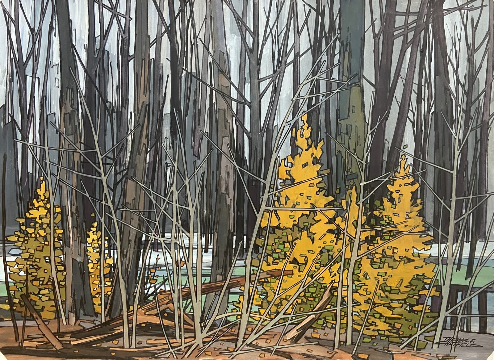 Thomas Chatfield, Gray Woods