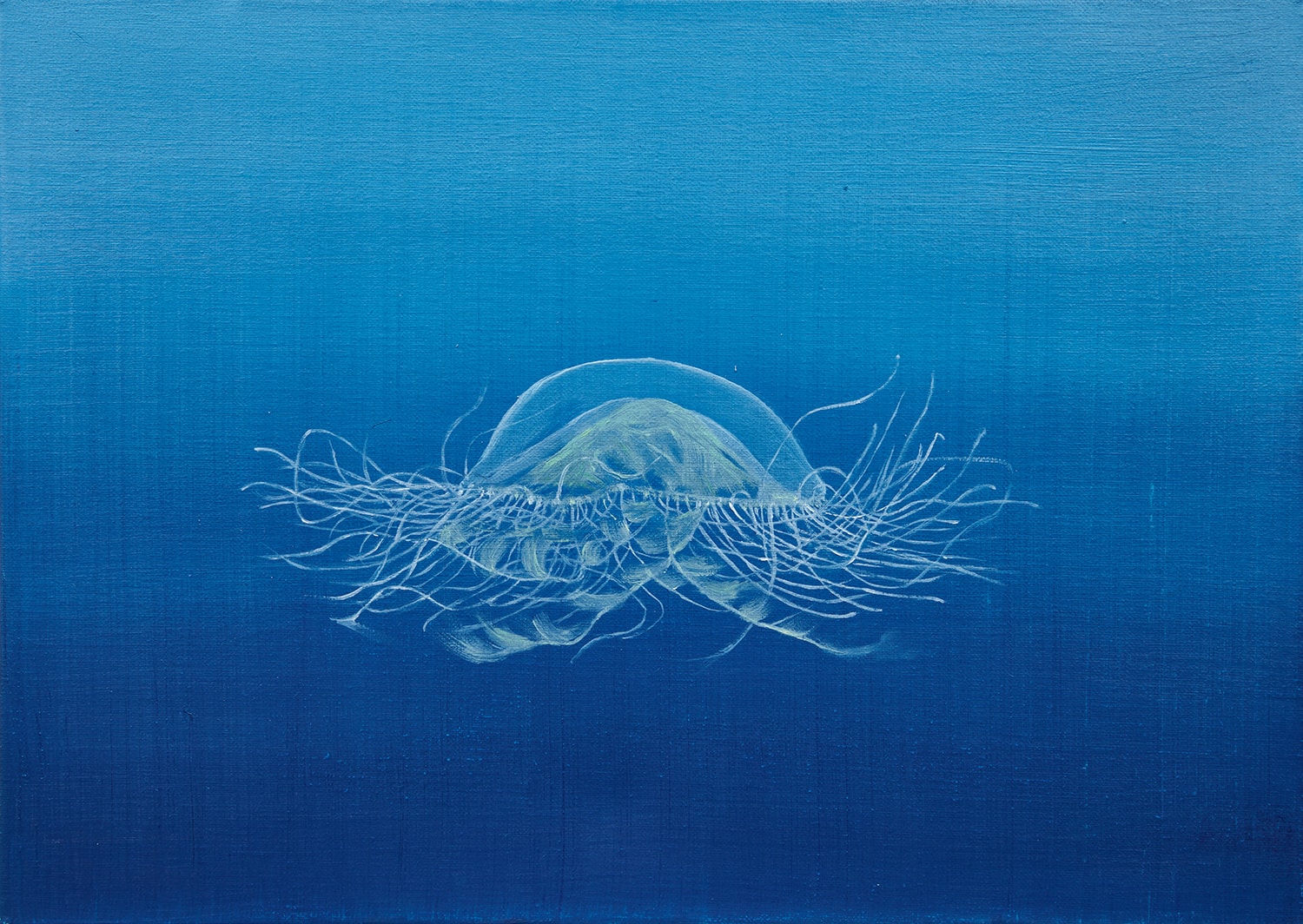 Abby Leigh, Jellyfish 1, 2023