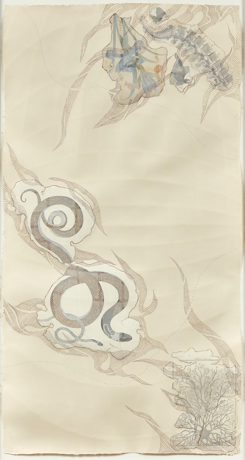 Abby Leigh, My Personal Atlas, Snake and Coral, 2004