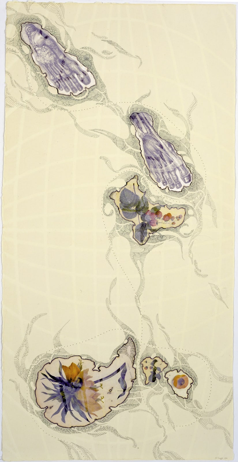 Abby Leigh, My Personal Atlas, Feet, Amaryllis, and Apricot, 2004