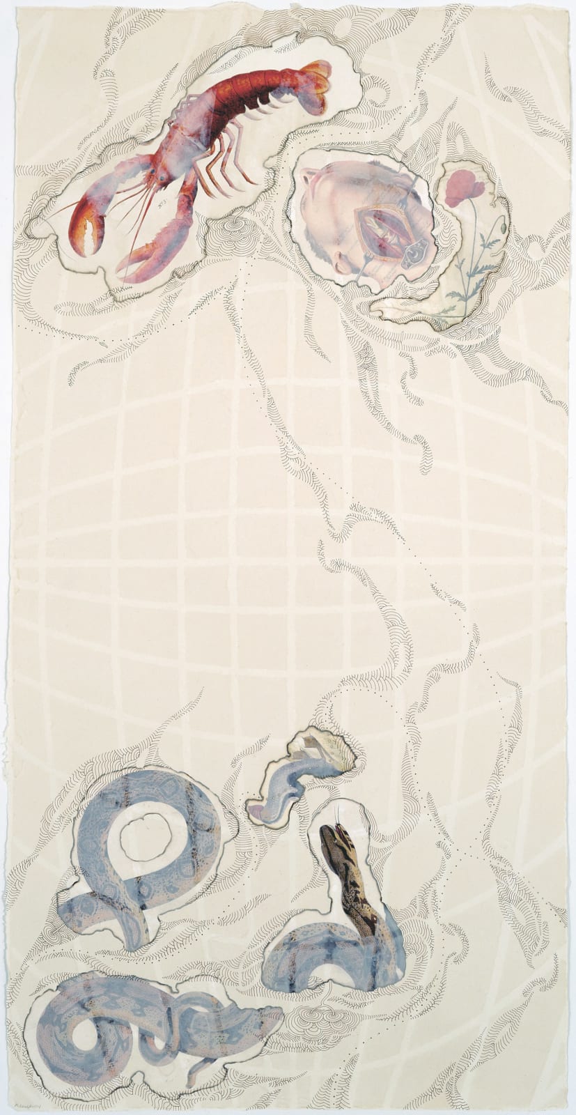 Abby Leigh, My Personal Atlas, Lobster, Throat, and Snake, 2004
