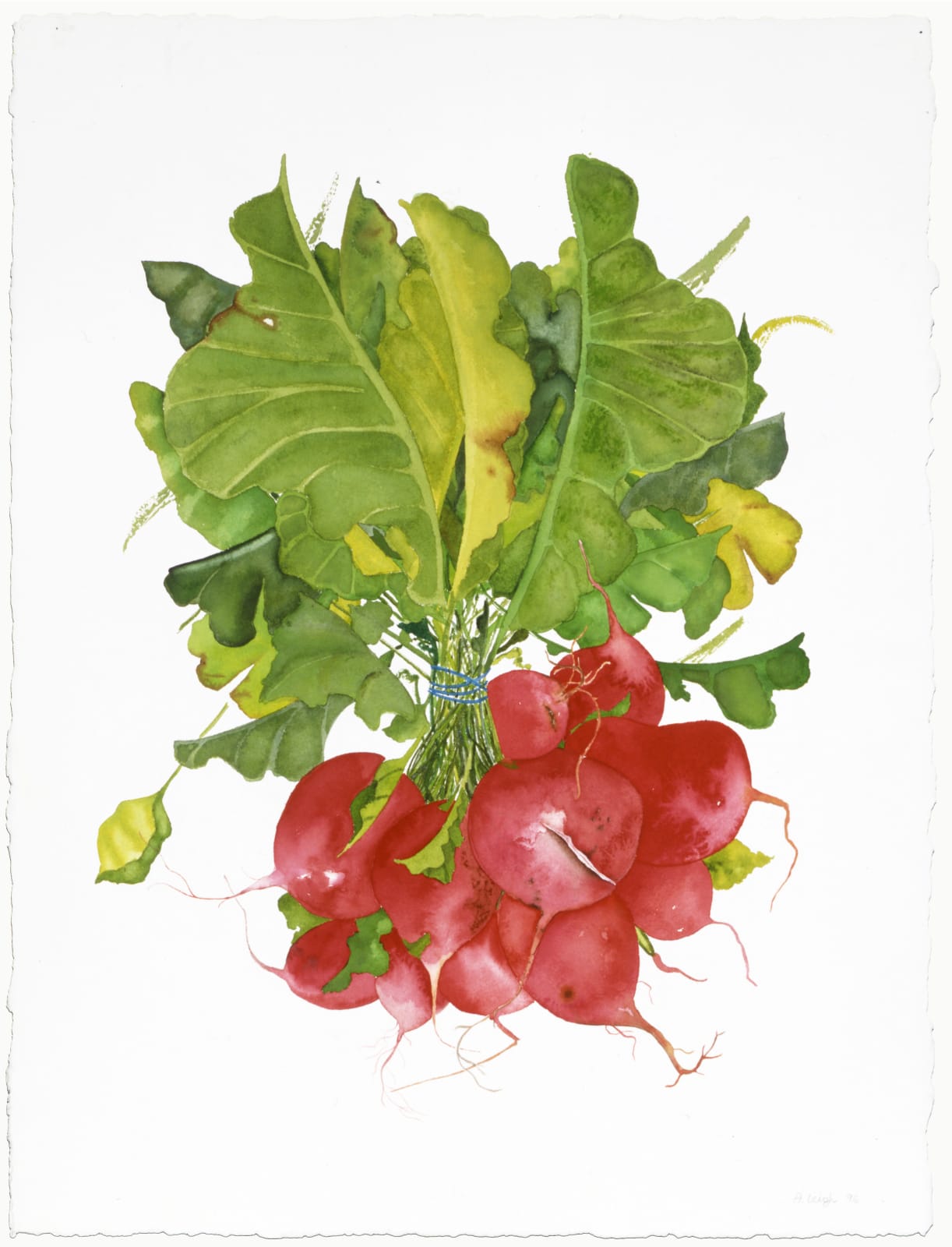 Abby Leigh, Radish, 1997