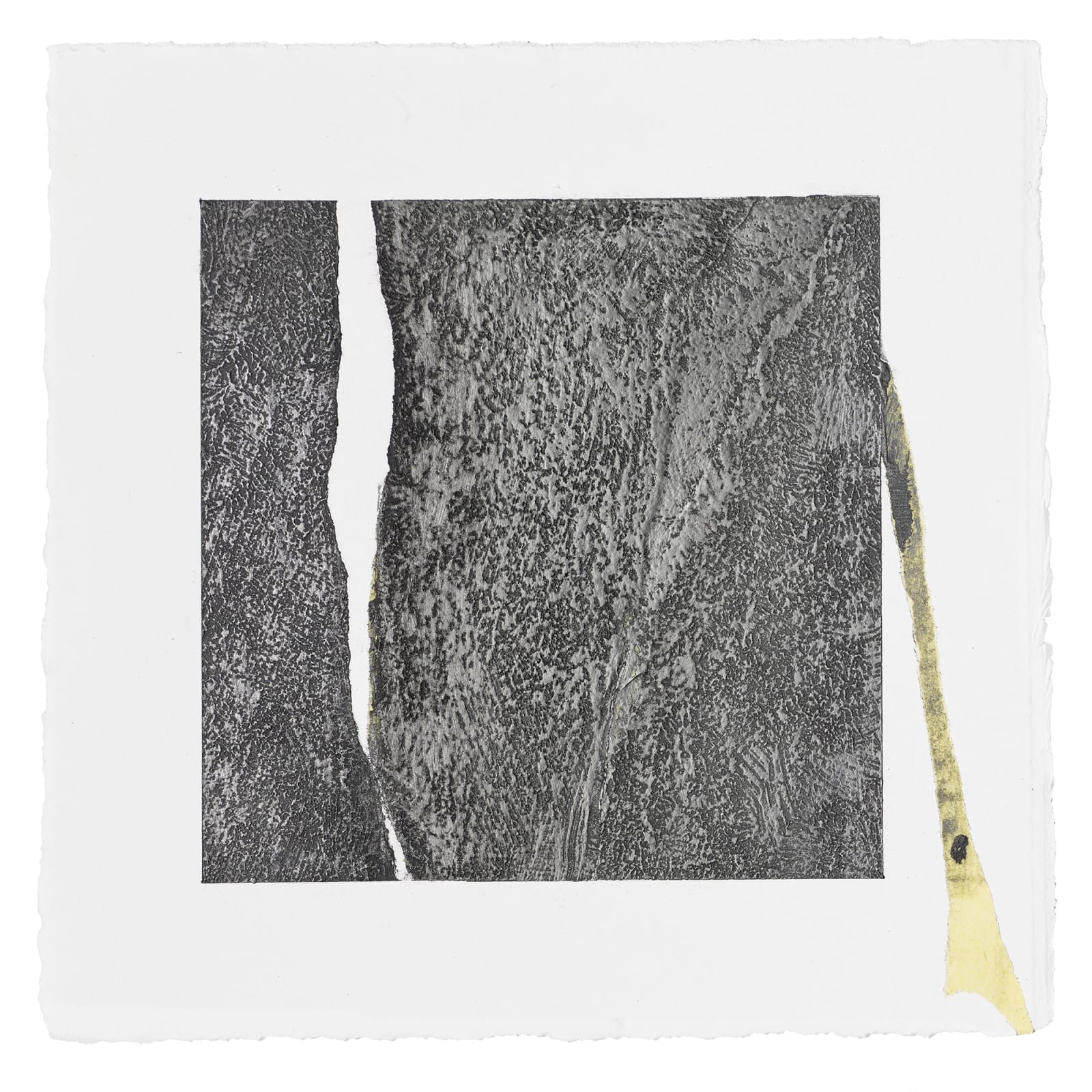 Abby Leigh, ML61, 2014-2018