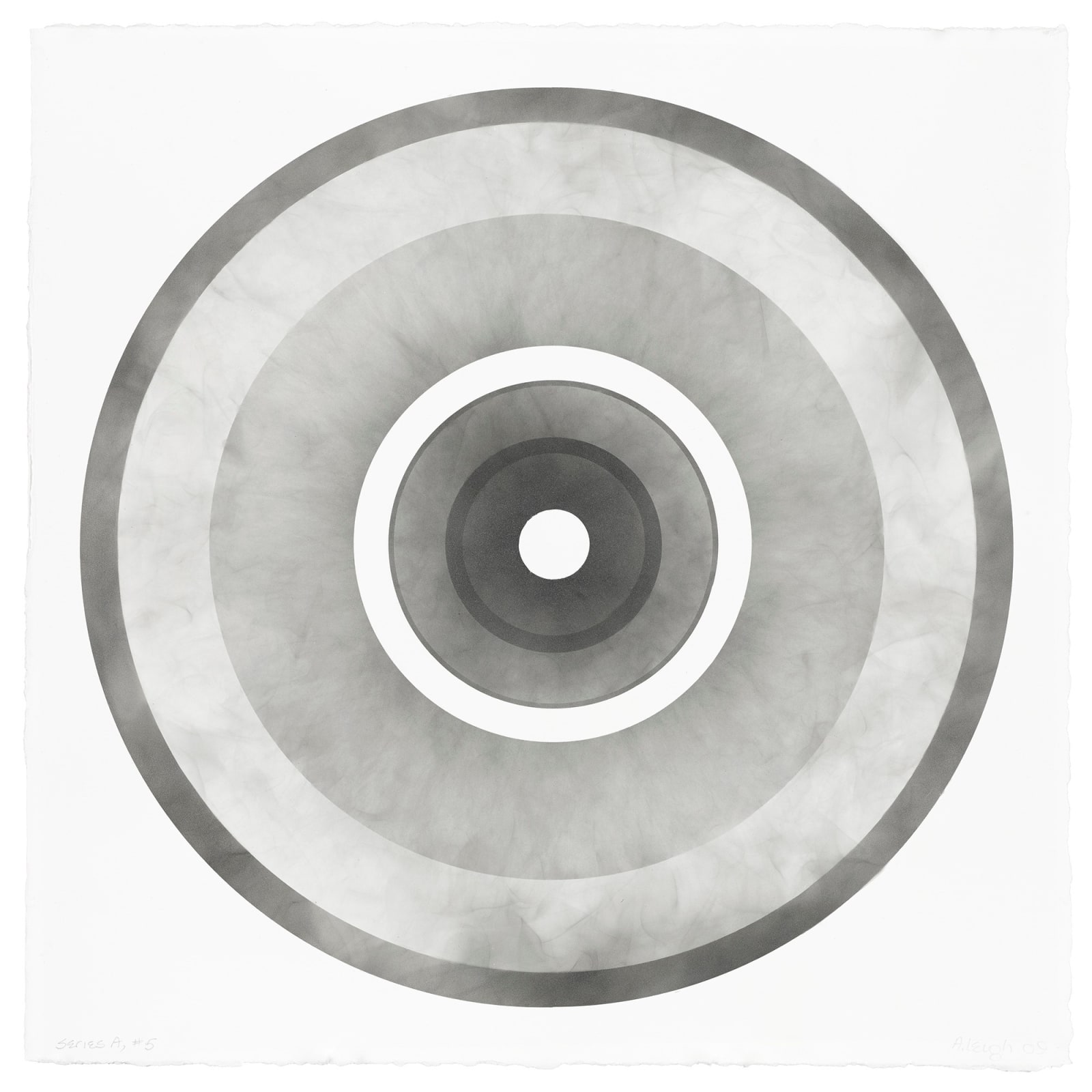 Abby Leigh, Nine Targets*, 2009-2011