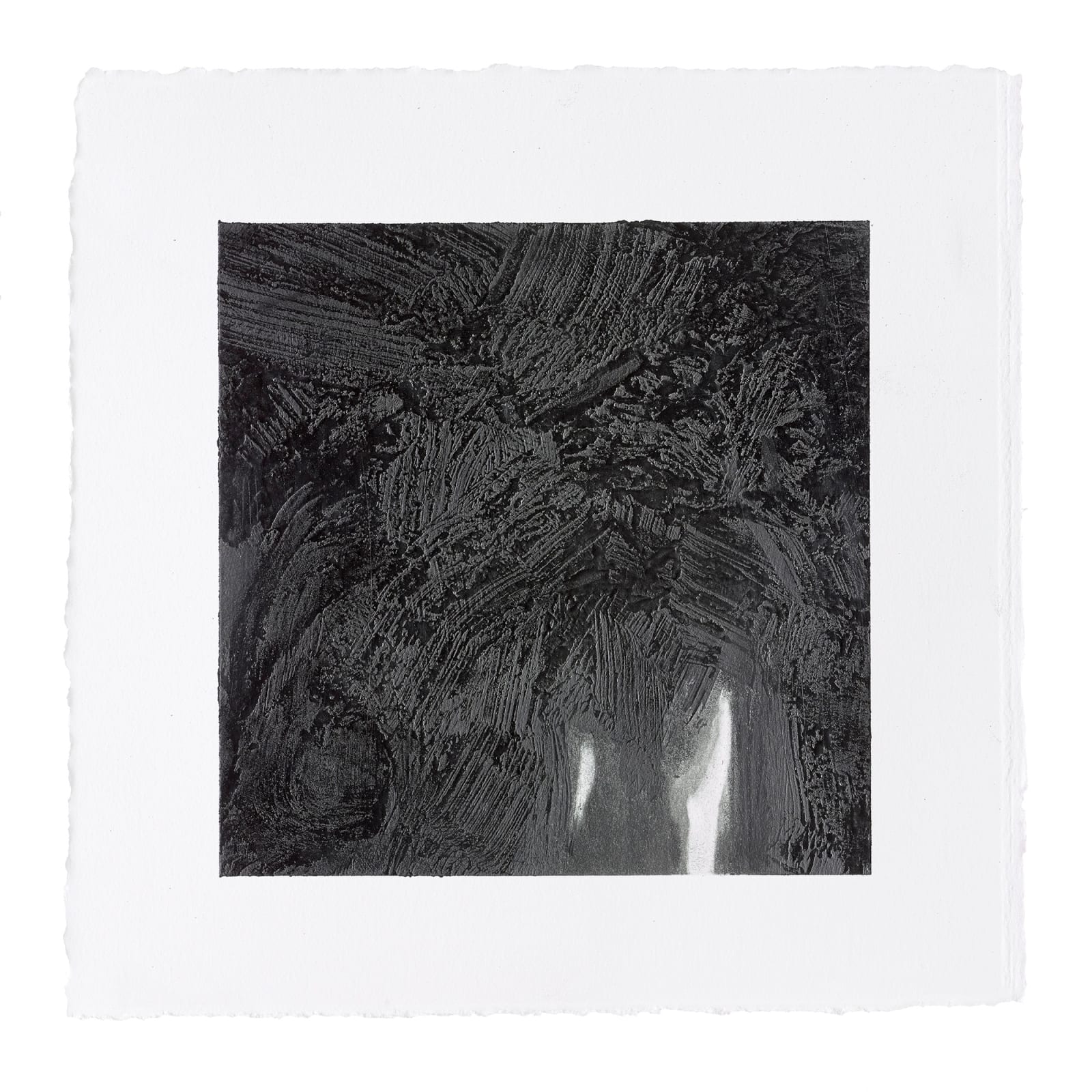 Abby Leigh, ML3, 2014-2018