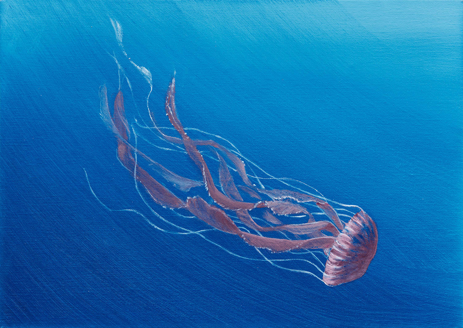 Abby Leigh, Jellyfish 7, 2023