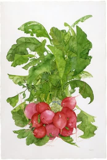 Abby Leigh, Radish , 1997