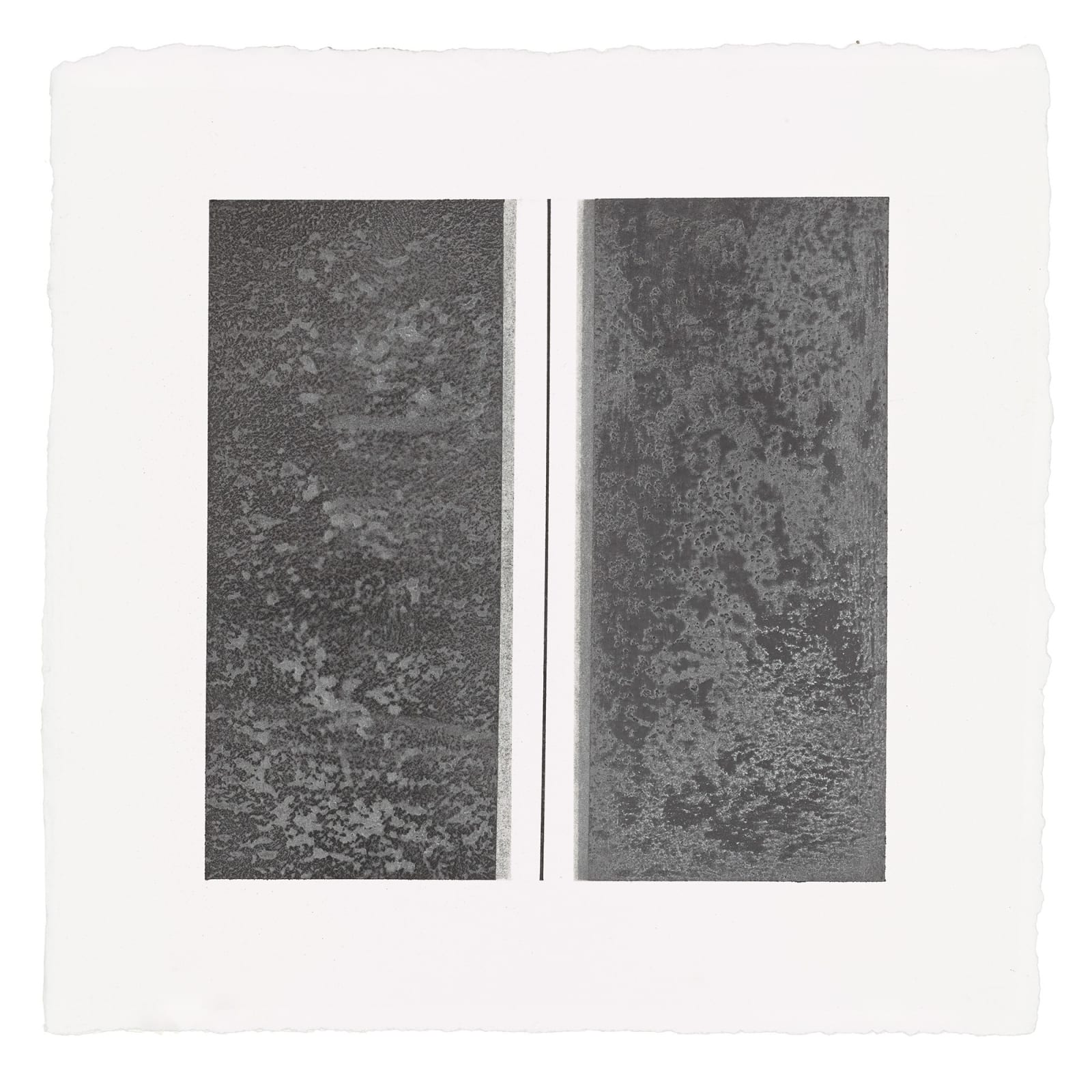 Abby Leigh, ML50, 2014-2018