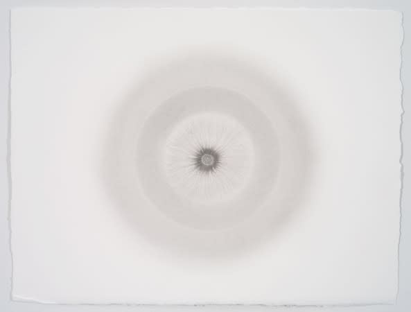 Abby Leigh, Sumi Ink 8