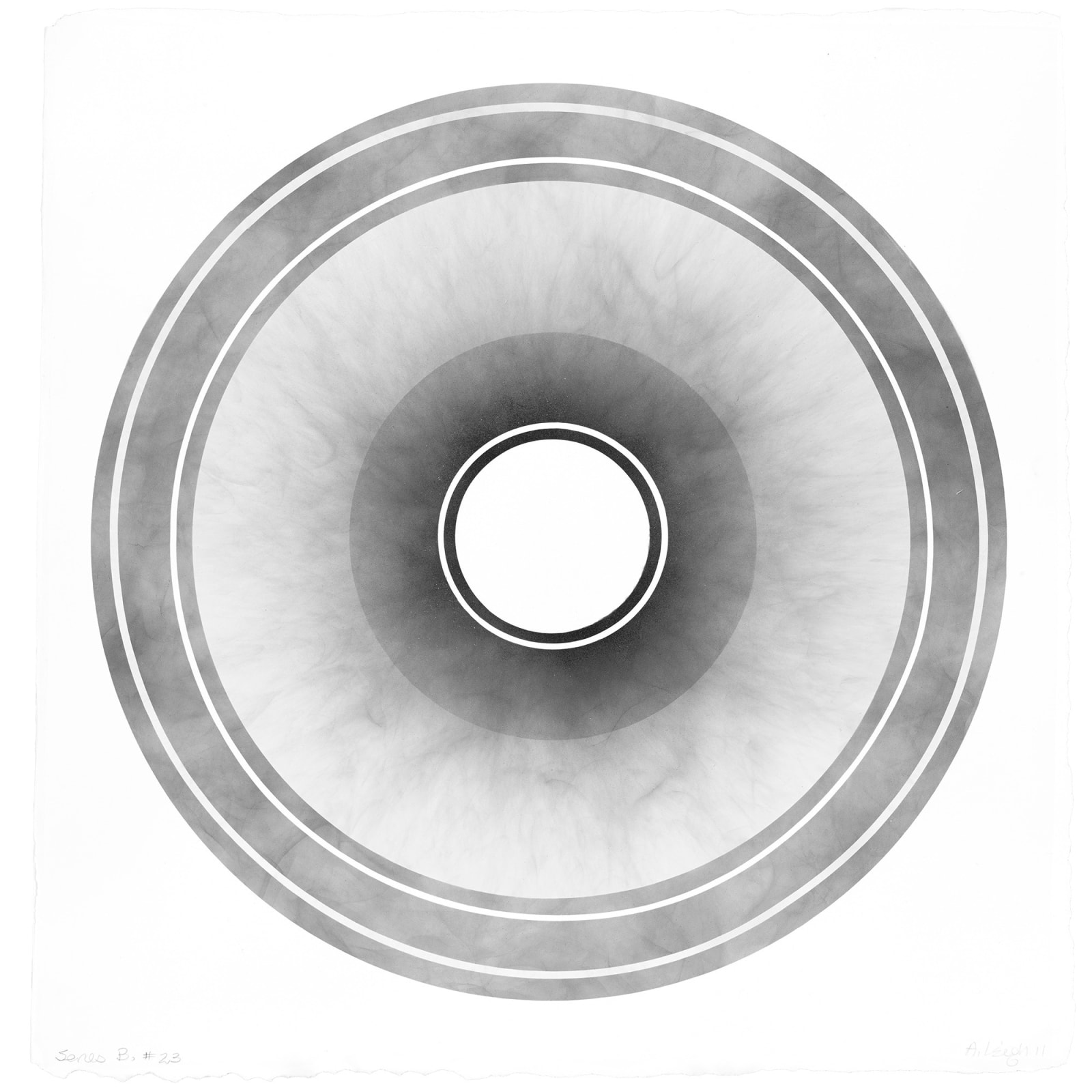 Abby Leigh, 2009-2011