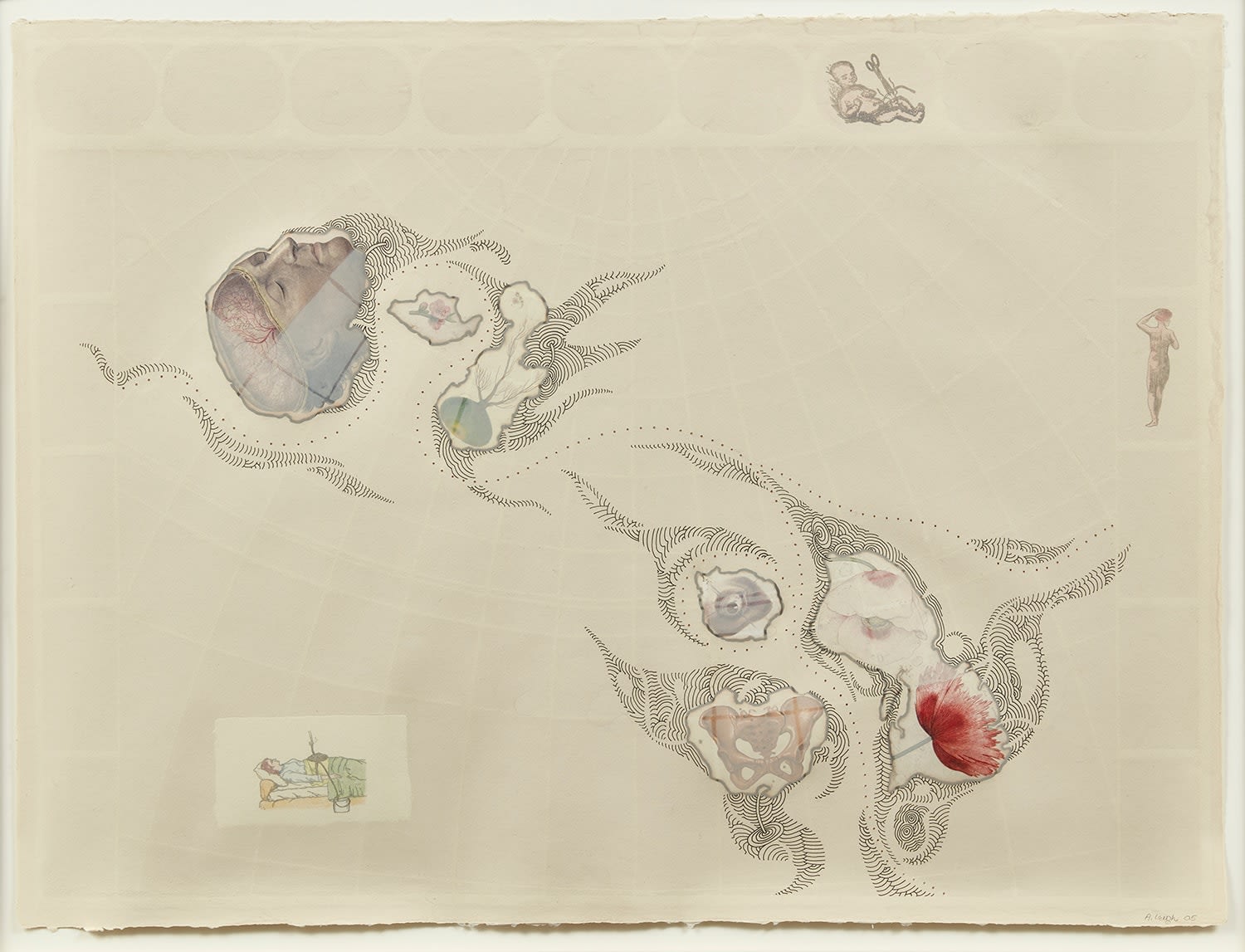 Abby Leigh, My Personal Atlas, Brain and Flower, 2004