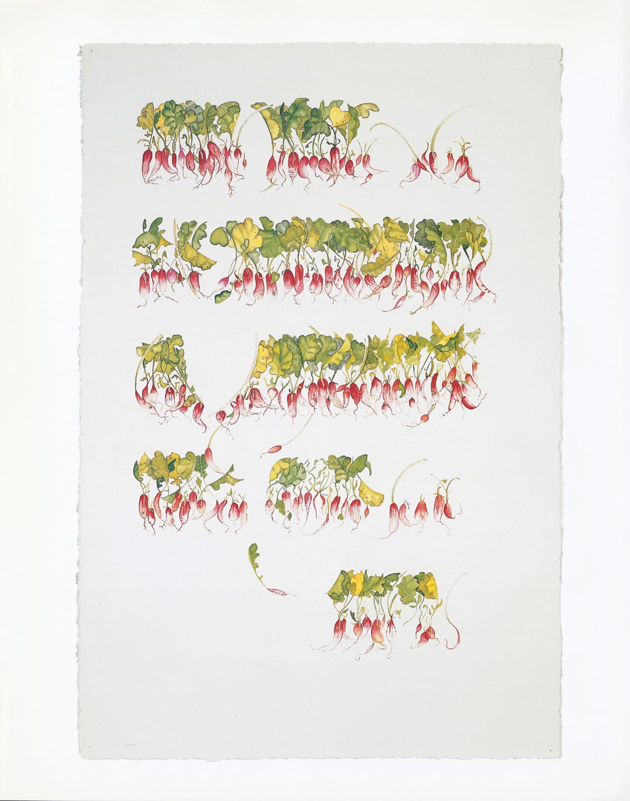 Abby Leigh, 158 Radishes, 1997