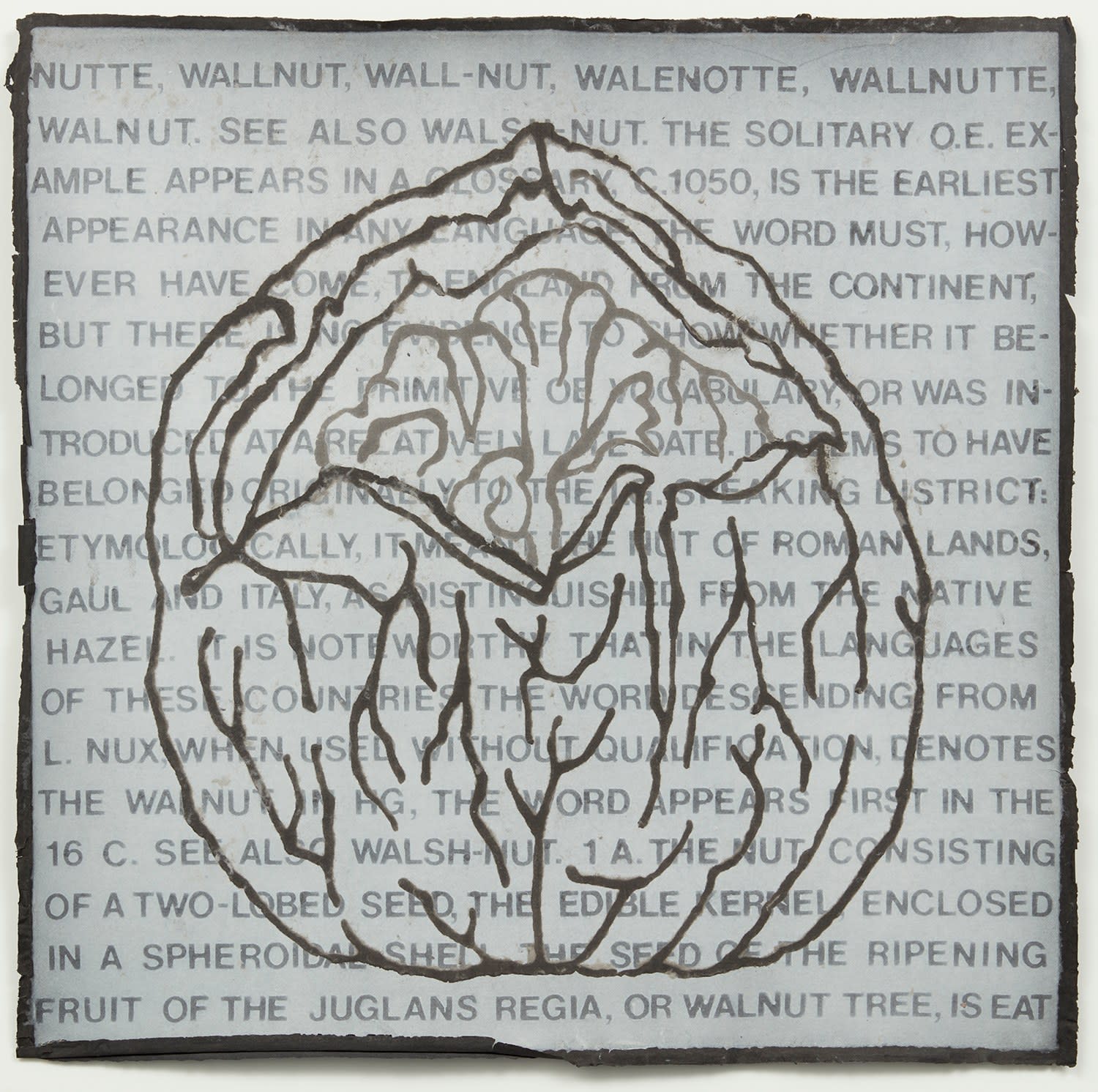 Abby Leigh, Walenotte 7, 2000