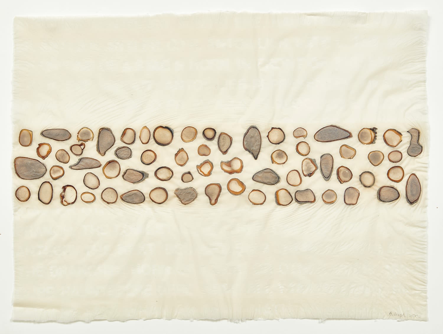 Abby Leigh, Reindeer Slice 9, 2002