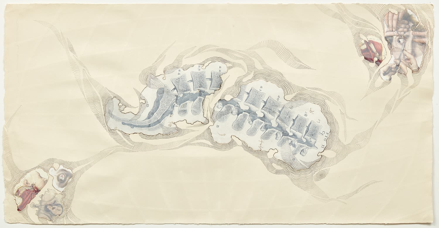 Abby Leigh, My Personal Atlas, Spine and Eye, 2004