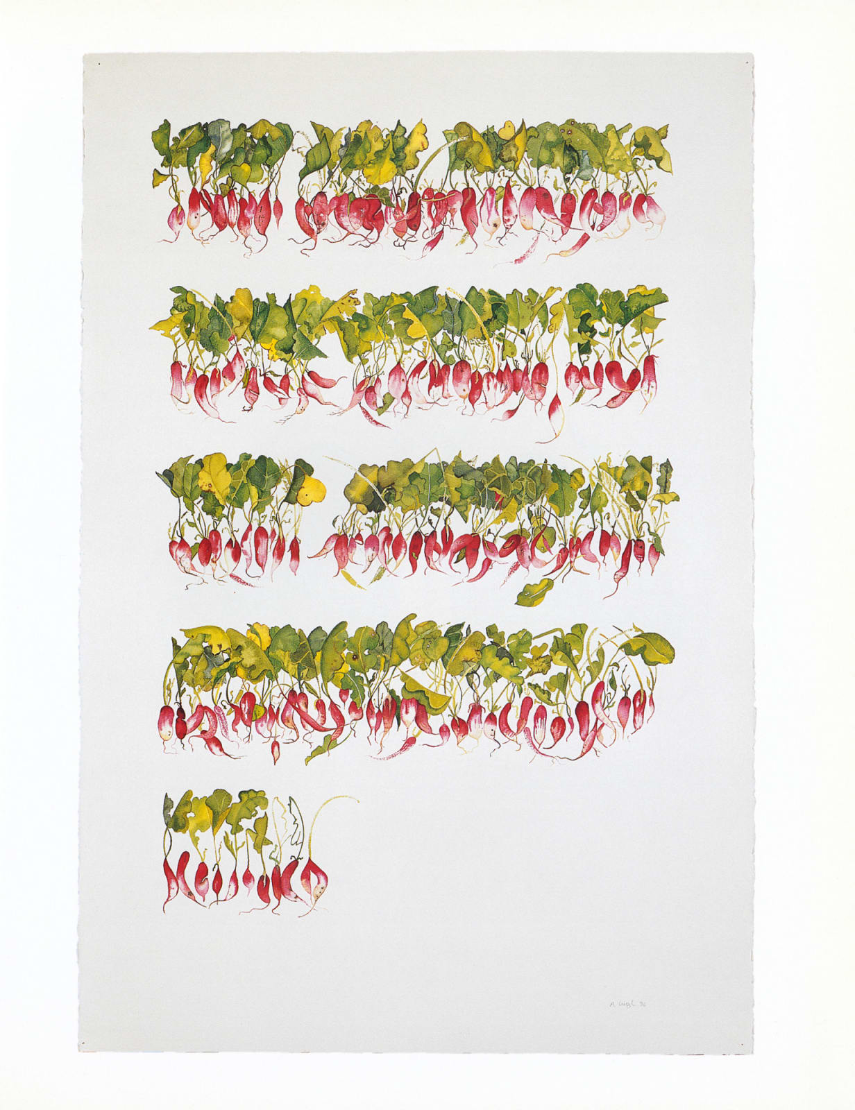Abby Leigh, 226 Radishes, 1997