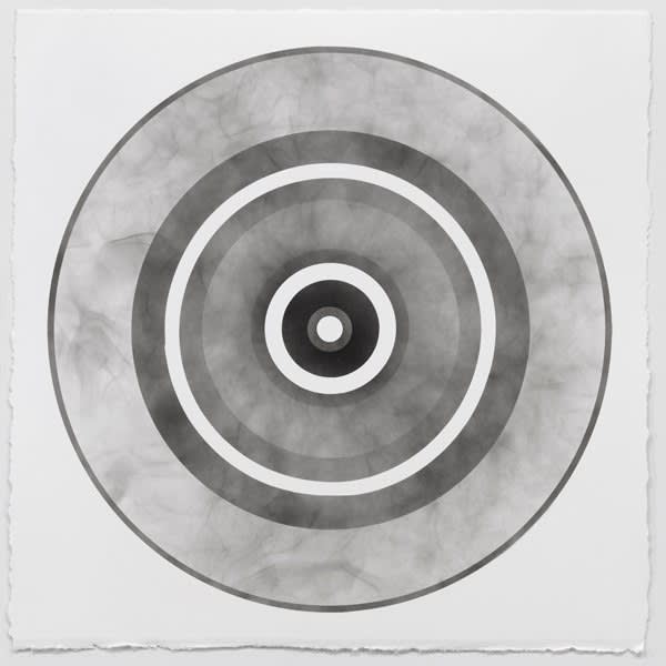 Abby Leigh, Nine Targets*, 2009-2011