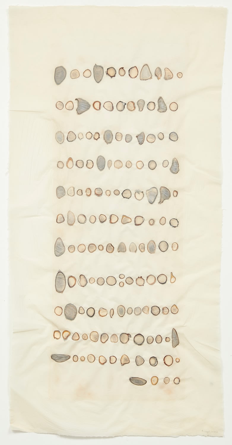 Abby Leigh, Reindeer Slice 7, 2001