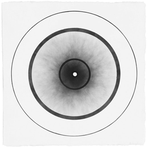 Abby Leigh, Untitled, 2009-2011