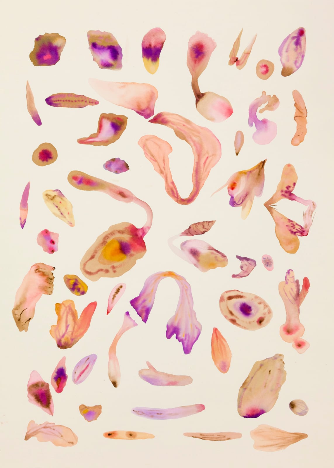 Isabella Nazzarri, Sistema innaturale #23, 2016