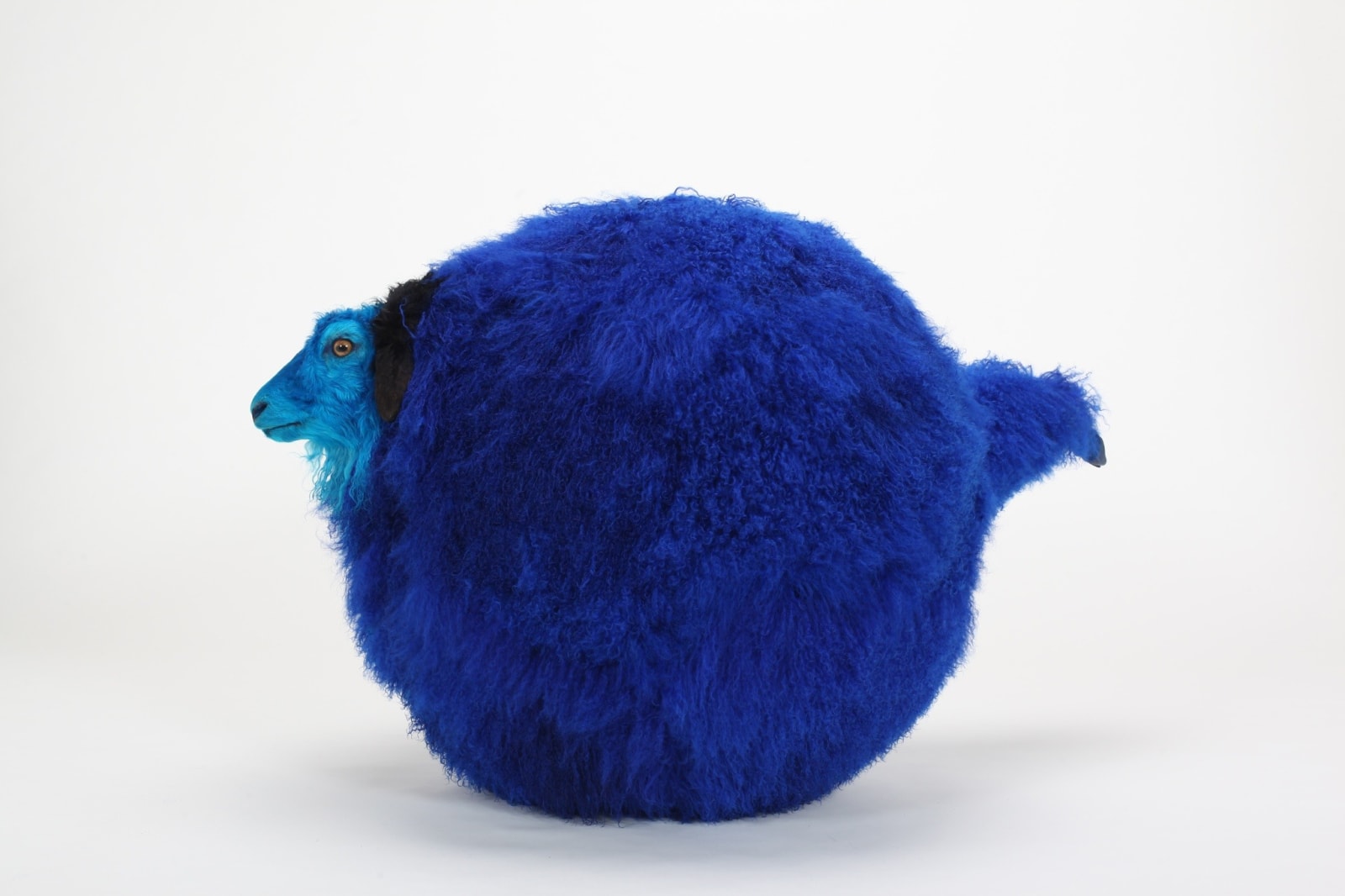 Yang Maoyuan, Sheep n°16, 2011