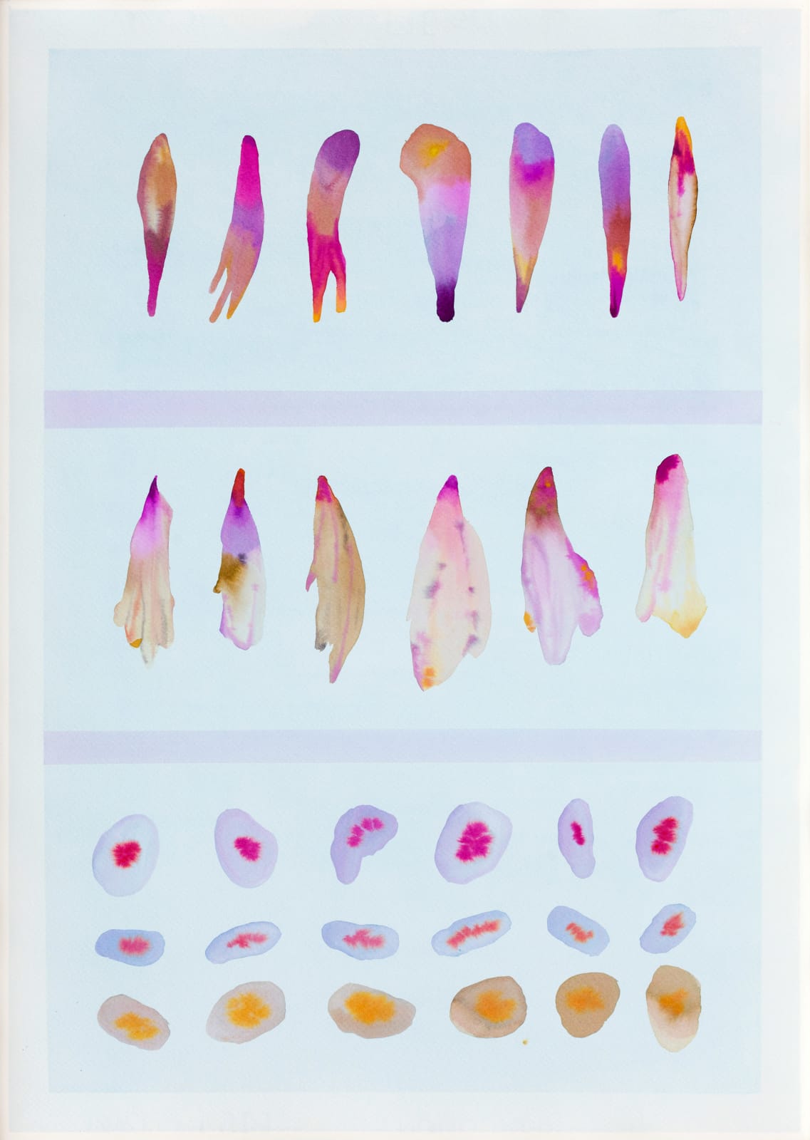 Isabella Nazzarri, Sistema innaturale #6, 2015