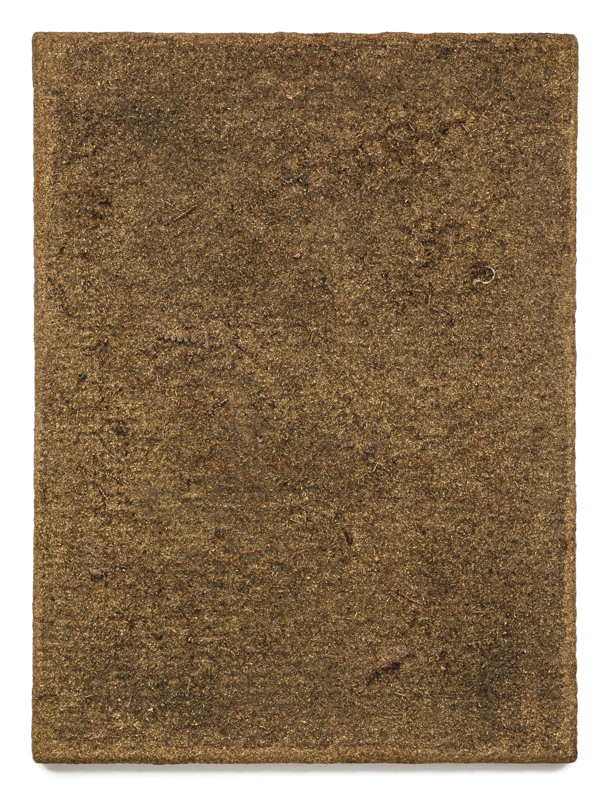 Alan Bee, Swarm (Invenire melius mundi), 1980