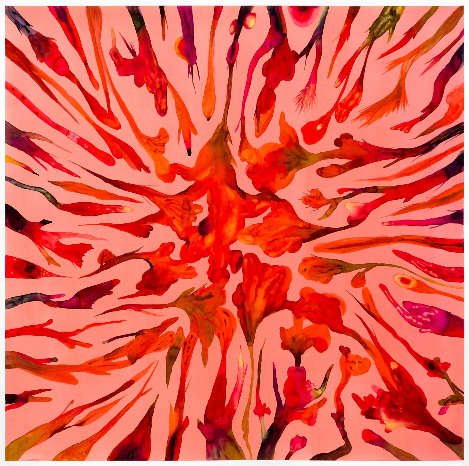 Isabella Nazzarri, Innesti #87, 2016